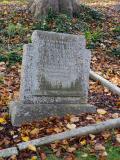 image of grave number 905349